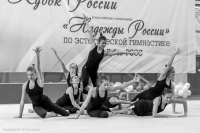 © ВФЭГ (RFAG)