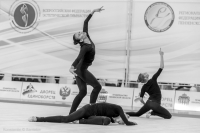 © ВФЭГ (RFAG)