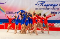 © ВФЭГ (RFAG)