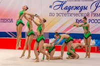 © ВФЭГ (RFAG)