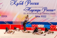 © ВФЭГ (RFAG)