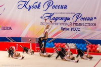 © ВФЭГ (RFAG)