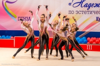 © ВФЭГ (RFAG)