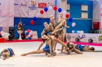 © ВФЭГ (RFAG)