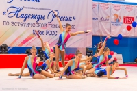 © ВФЭГ (RFAG)