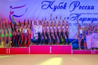 © ВФЭГ (RFAG)