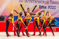 © ВФЭГ (RFAG)