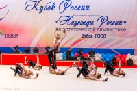 © ВФЭГ (RFAG)