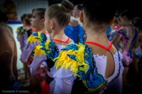 © ВФЭГ (RFAG)