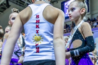 © ВФЭГ (RFAG)