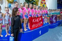 © ВФЭГ (RFAG)
