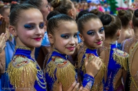 © ВФЭГ (RFAG)