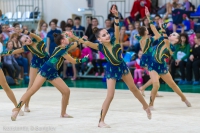 © ВФЭГ (RFAG)