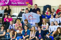 © ВФЭГ (RFAG)