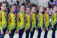© ВФЭГ (RFAG)