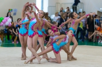 © ВФЭГ (RFAG)