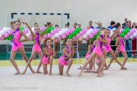 © ВФЭГ (RFAG)