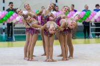 © ВФЭГ (RFAG)