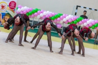 © ВФЭГ (RFAG)