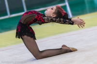 © ВФЭГ (RFAG)