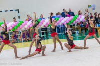 © ВФЭГ (RFAG)