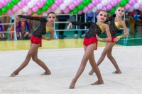 © ВФЭГ (RFAG)