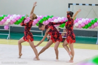 © ВФЭГ (RFAG)