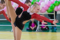 © ВФЭГ (RFAG)
