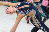 © ВФЭГ (RFAG)