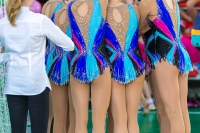 © ВФЭГ (RFAG)