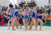 © ВФЭГ (RFAG)