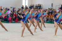 © ВФЭГ (RFAG)