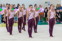 © ВФЭГ (RFAG)