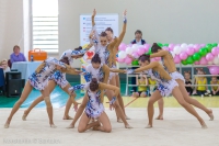 © ВФЭГ (RFAG)