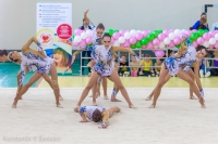 © ВФЭГ (RFAG)