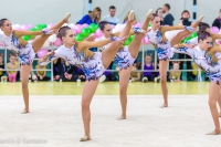 © ВФЭГ (RFAG)