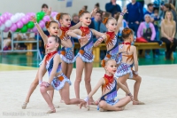 © ВФЭГ (RFAG)