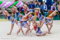 © ВФЭГ (RFAG)
