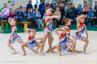 © ВФЭГ (RFAG)