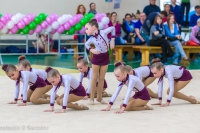 © ВФЭГ (RFAG)