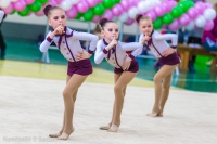 © ВФЭГ (RFAG)