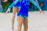 © ВФЭГ (RFAG)