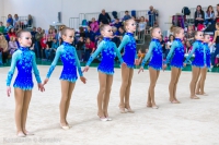 © ВФЭГ (RFAG)