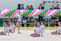 © ВФЭГ (RFAG)