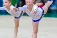 © ВФЭГ (RFAG)