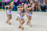© ВФЭГ (RFAG)