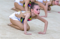 © ВФЭГ (RFAG)