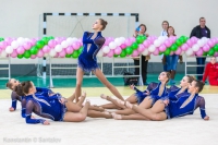 © ВФЭГ (RFAG)