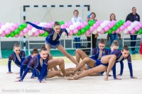 © ВФЭГ (RFAG)