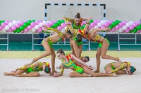 © ВФЭГ (RFAG)